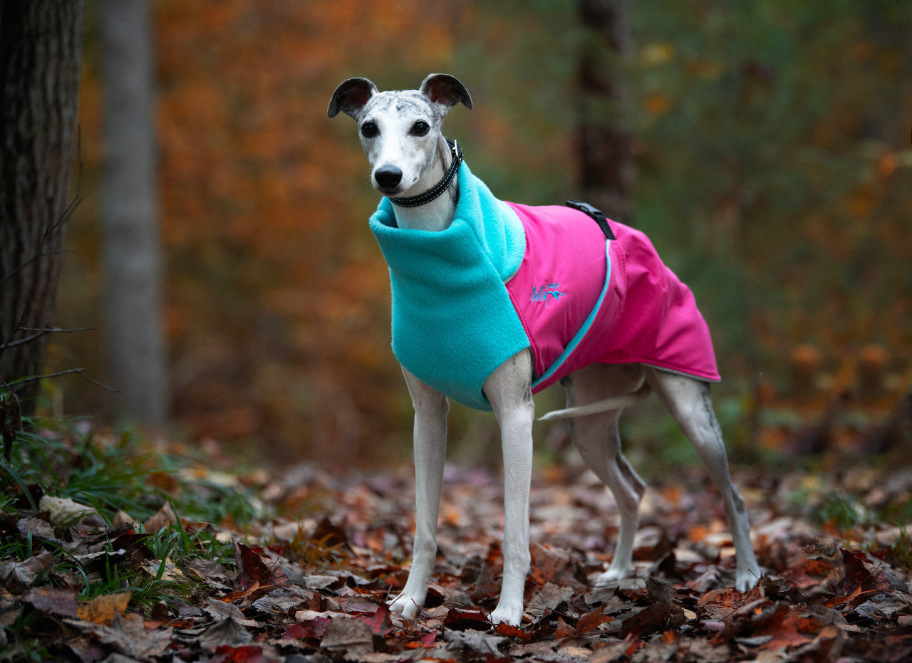 Great White North Candy Floss LAST CHANCE! – Chilly Dogs Inc