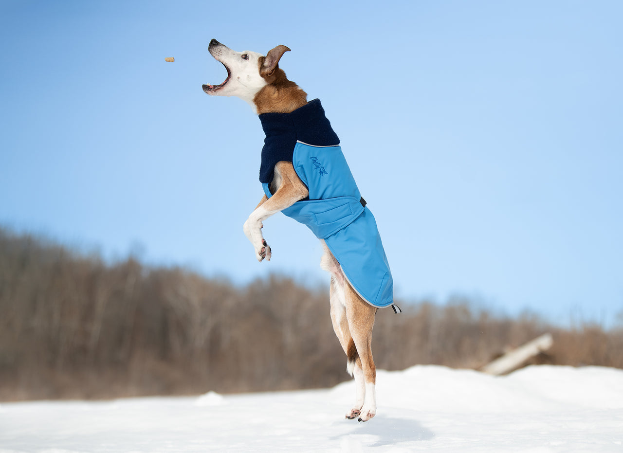 Great White North Winter Dog Coat