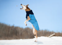 Thumbnail for Great White North Winter Dog Coat