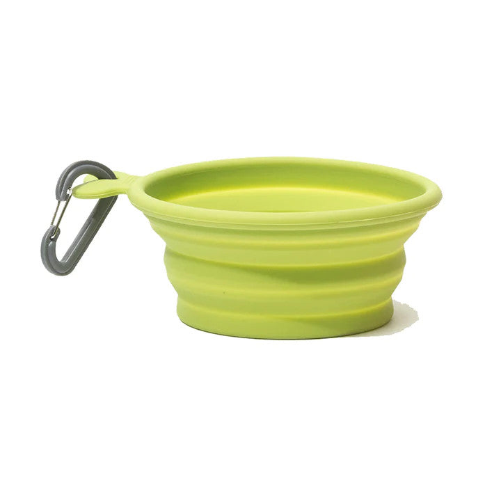 Messy Mutts Silicone Collapsible Dog Bowl