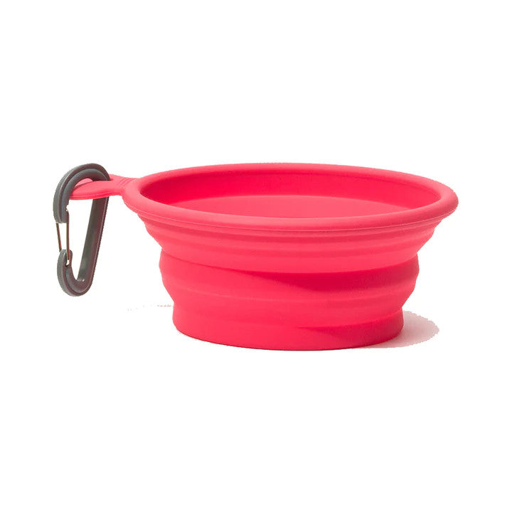 Messy Mutts Silicone Collapsible Dog Bowl