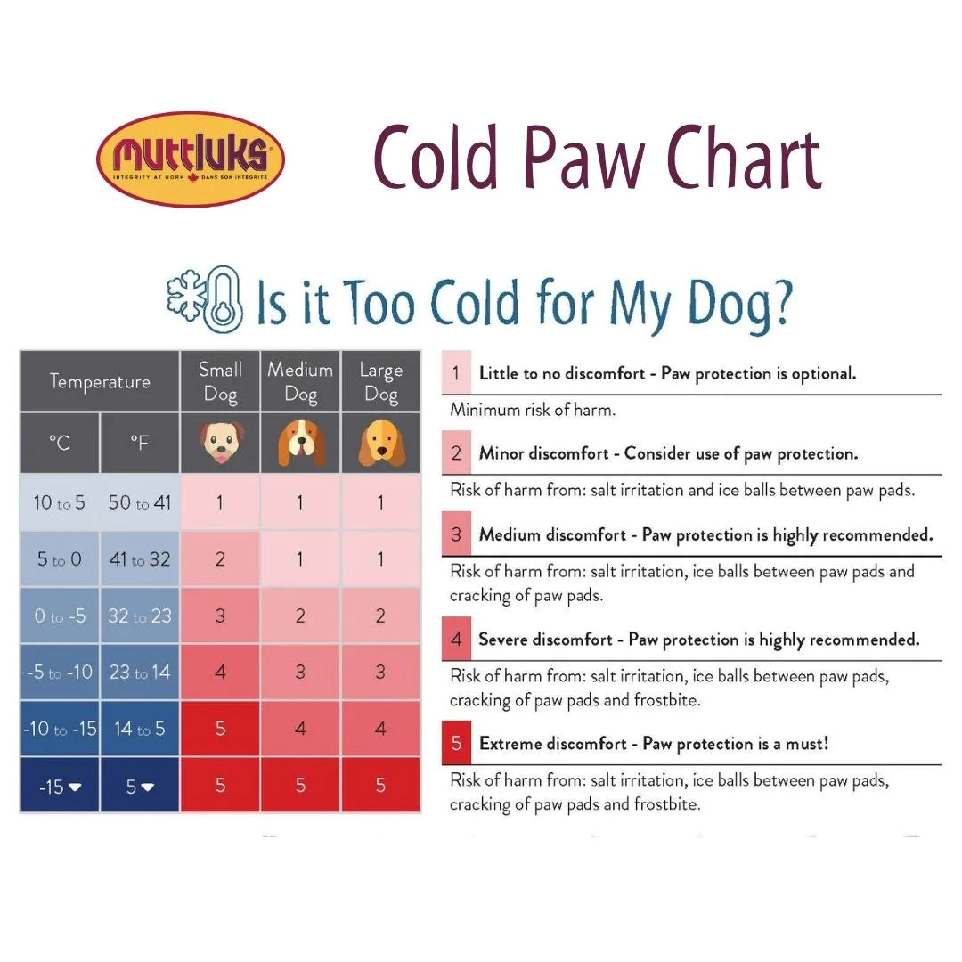 Muttluks cold paw chart for dogs