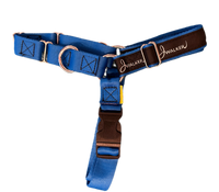 Thumbnail for JWalker Dog Harness in Blue Jay