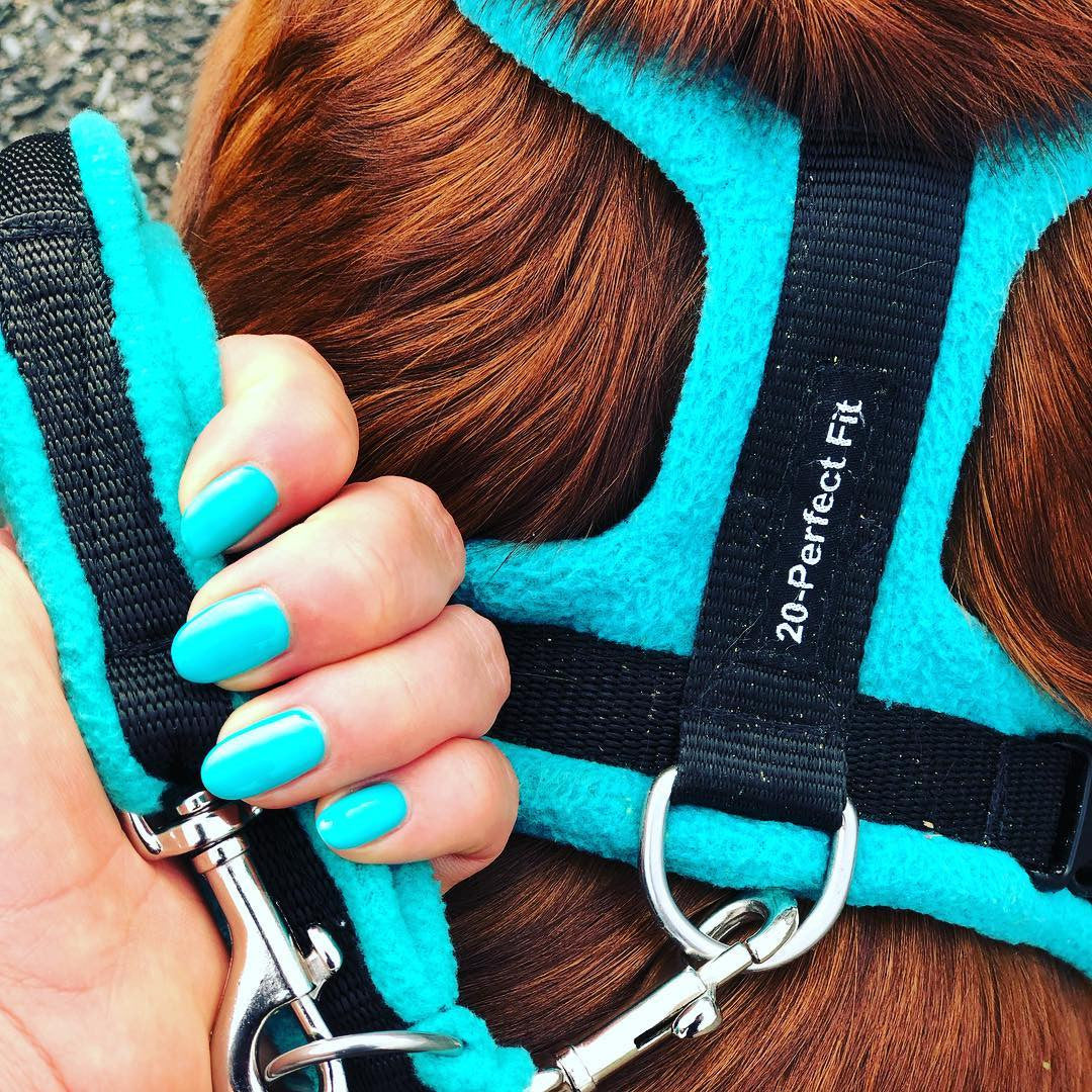 Perfect Fit Harness fleece leash in turquoise