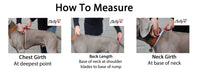 Thumbnail for FREE Sizing Consultation