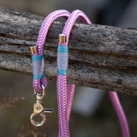 Thumbnail for MyLeash 4ft Clip Leash