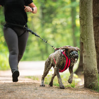 Thumbnail for Nahak Hybrid Dog Harness