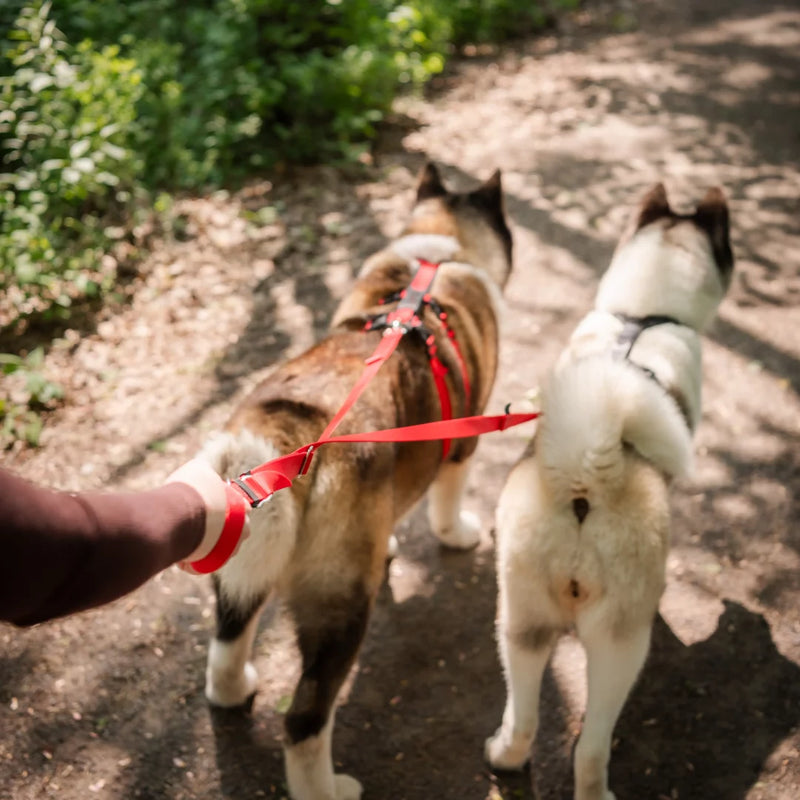 Nahak dog harness for summer hiking and canicross