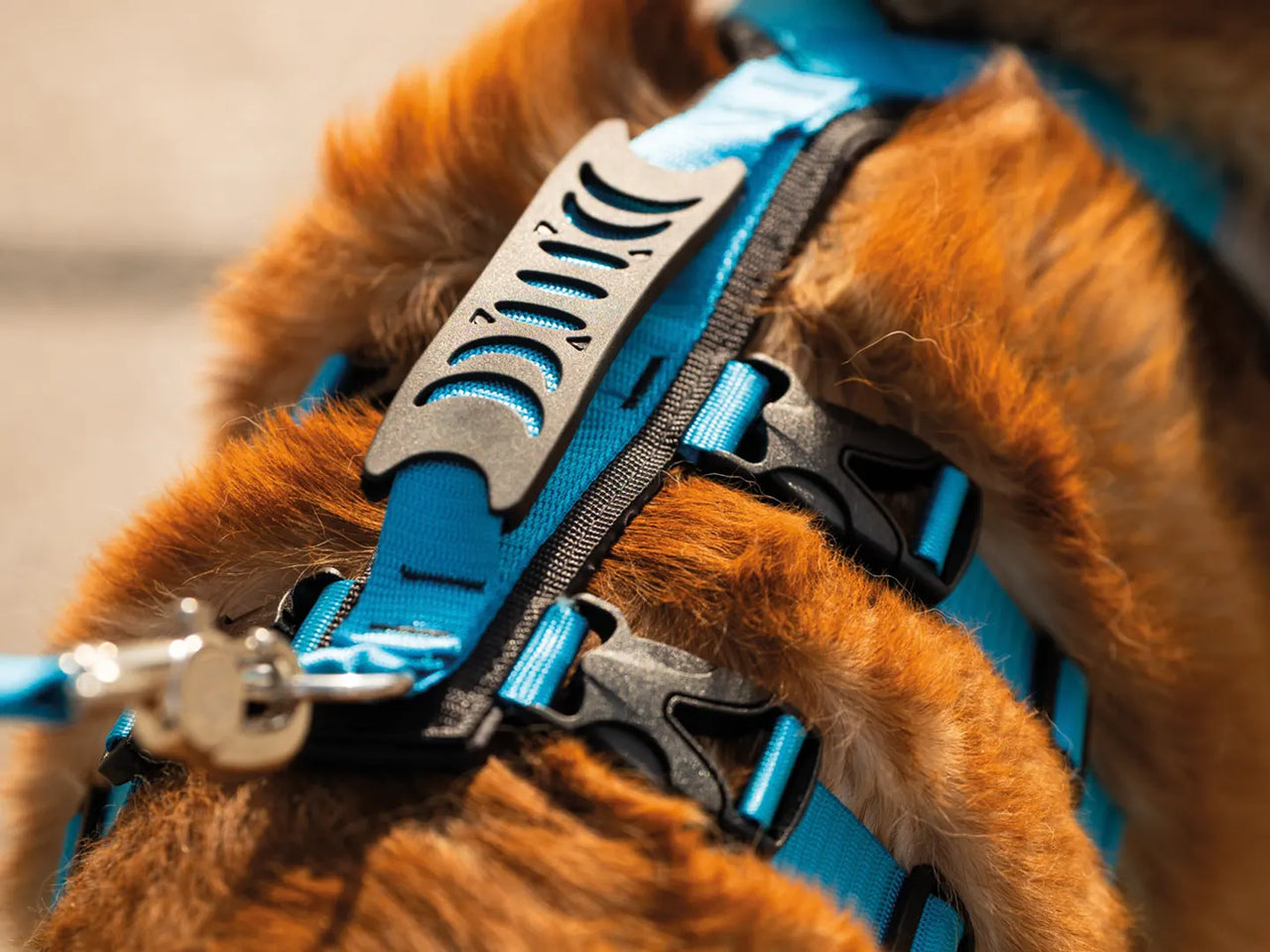 Nahak Hybrid Dog Harness