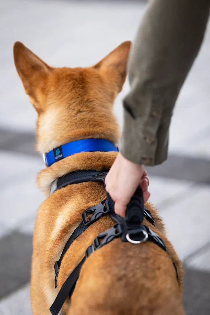 Nahak Hybrid Dog Harness
