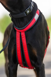 Thumbnail for Nahak Hybrid Dog Harness