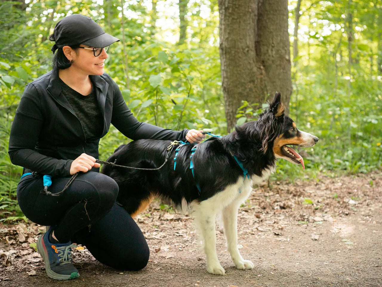 Nahak Hybrid Dog Harness