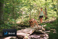 Thumbnail for Woman walking with the Nahak Single Traction Belt