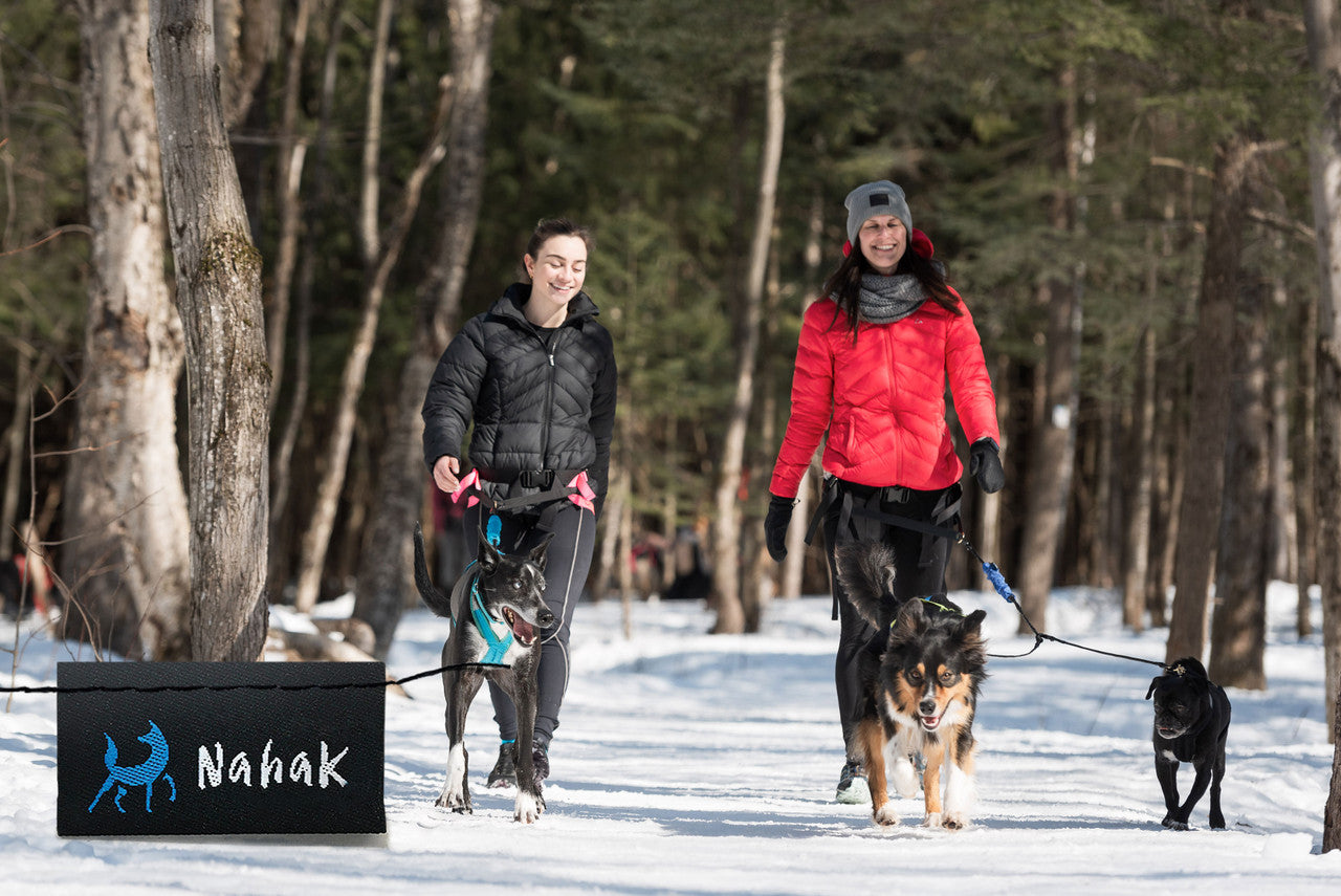 Dog walkers going for a stroll in their  Nahak Pulling Harnesses