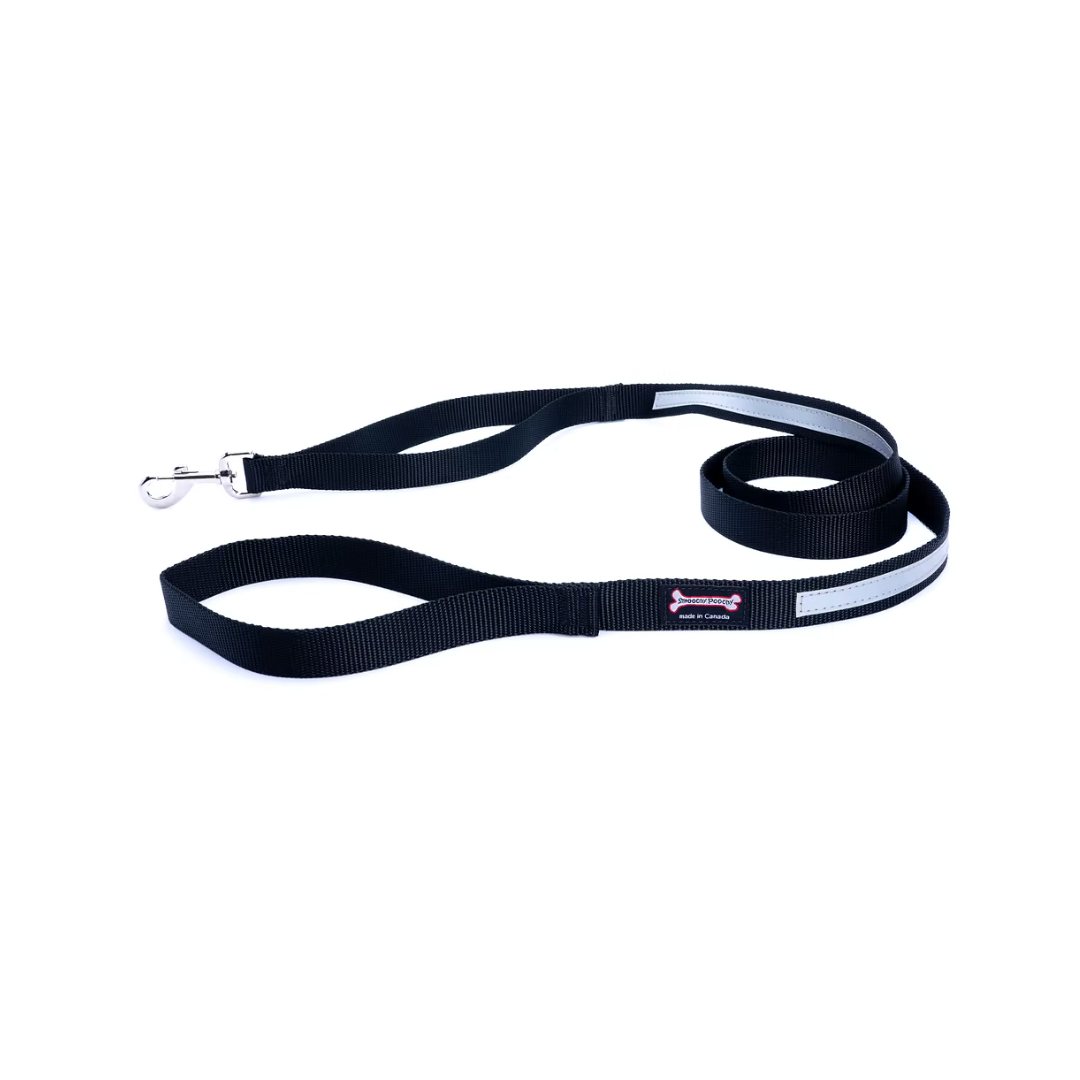 Smooch Poochy Nylon Reflective Leash