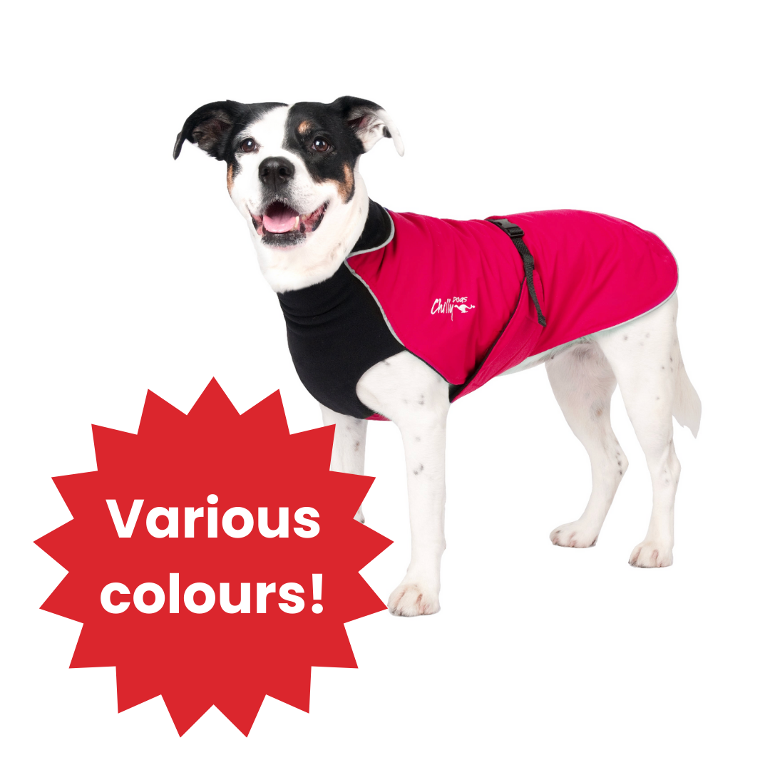 Northern Blazer - Lightly Loved