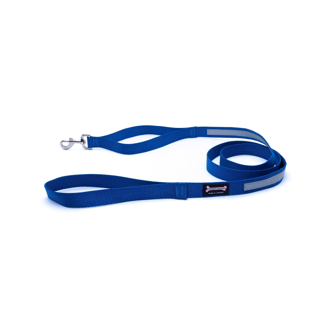 Smooch Poochy Nylon Reflective Leash