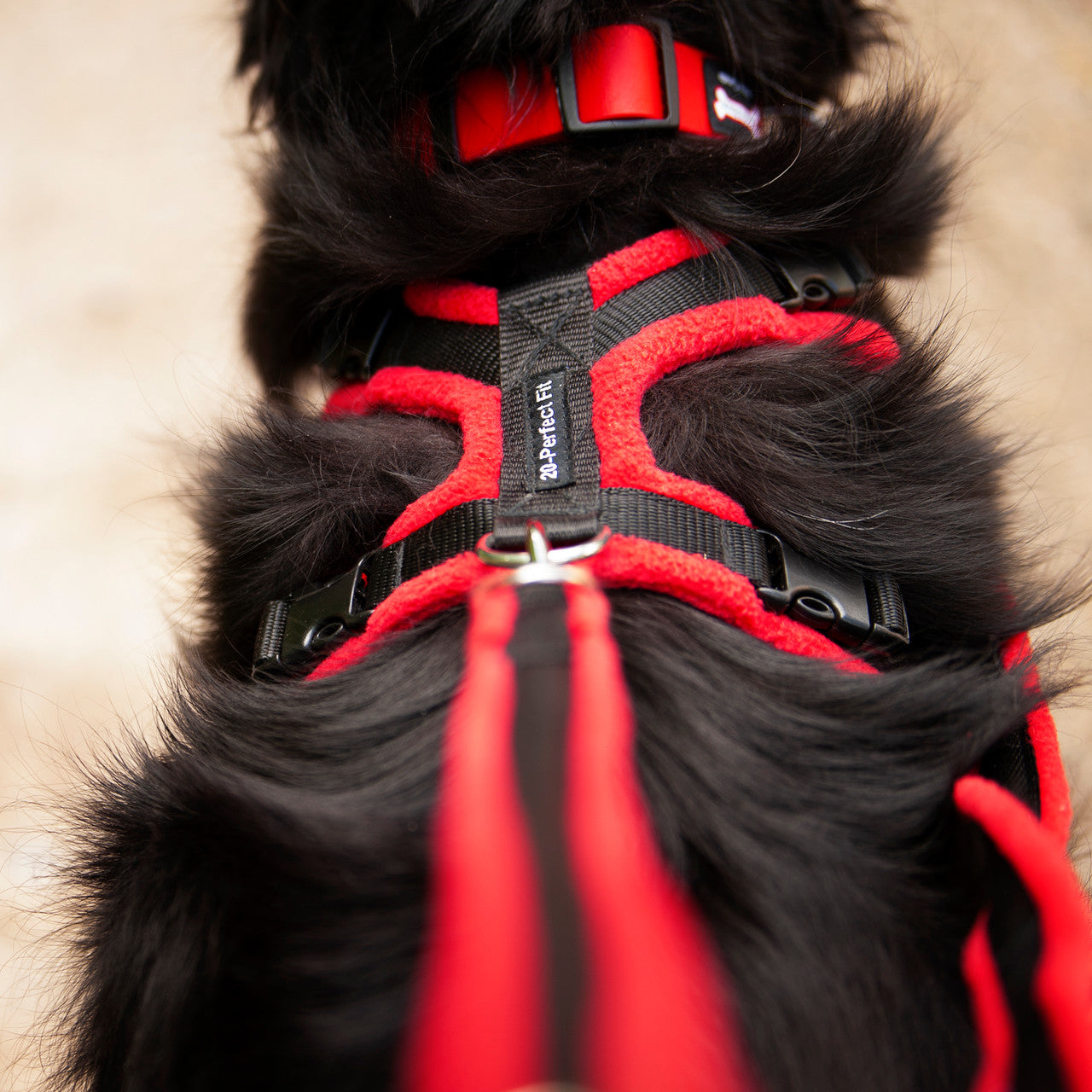 Perfect Fit Harness fleece leash in Red