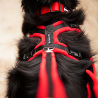 Thumbnail for Perfect Fit Harness fleece leash in Red