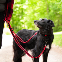 Thumbnail for Dog wearing Perfect Fit Harness fleece leash in red