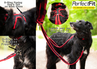 Thumbnail for How to use the Perfect Fit Harness