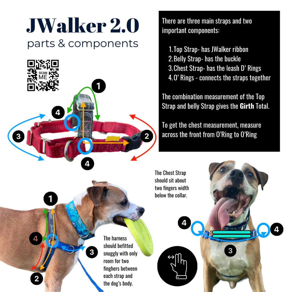 JWalker Dog Harness Fitting