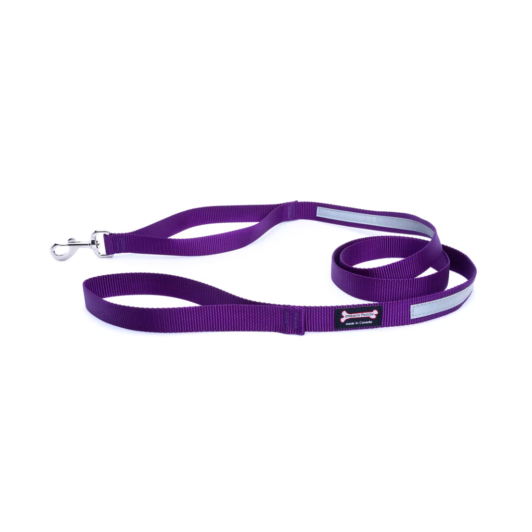 Smooch Poochy Nylon Reflective Leash