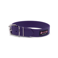 Thumbnail for Purple Smoochy Poochy Poly Buckle Style Biothane dog collar with roller buckle, double keeper loops, and metal D-ring