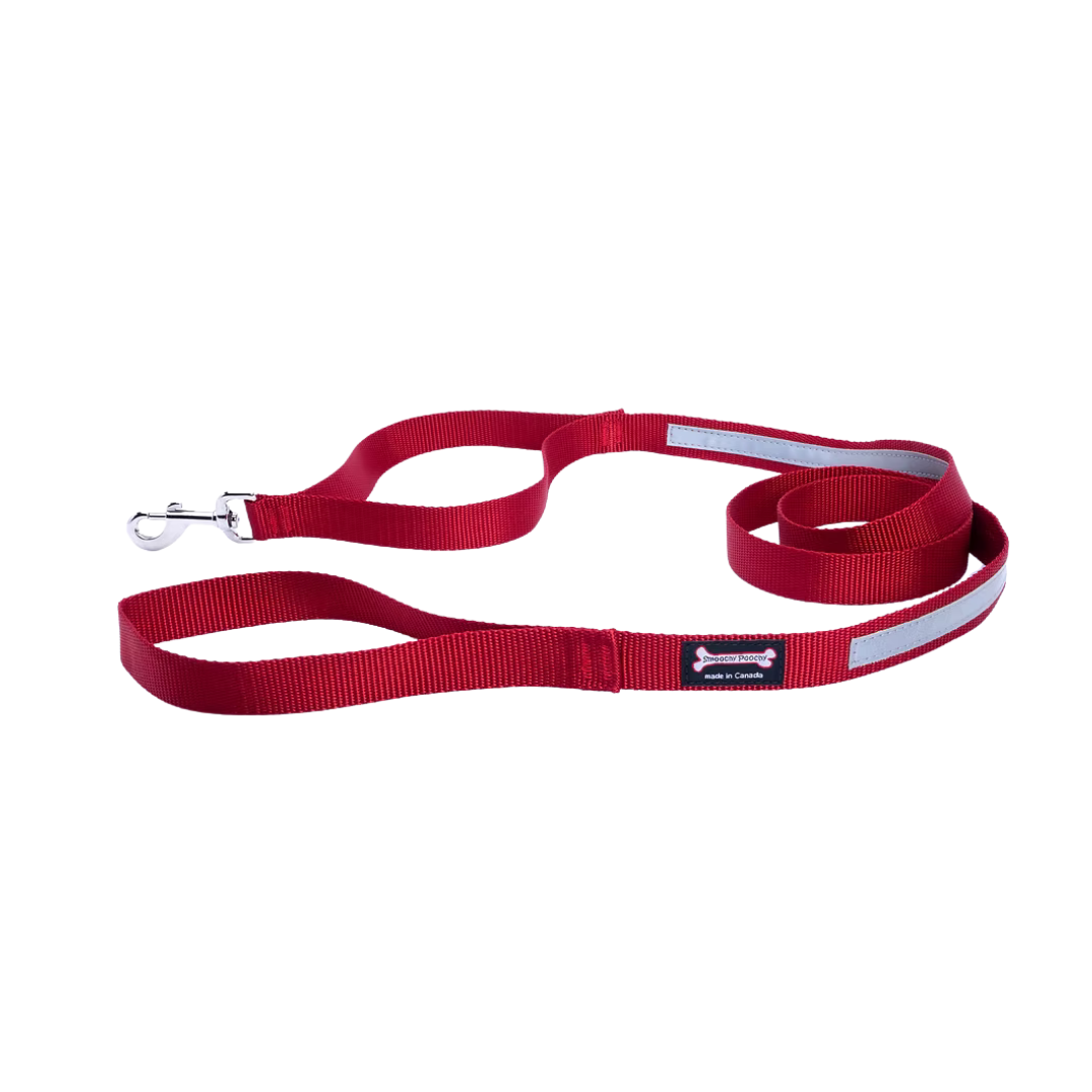 Smooch Poochy Nylon Reflective Leash