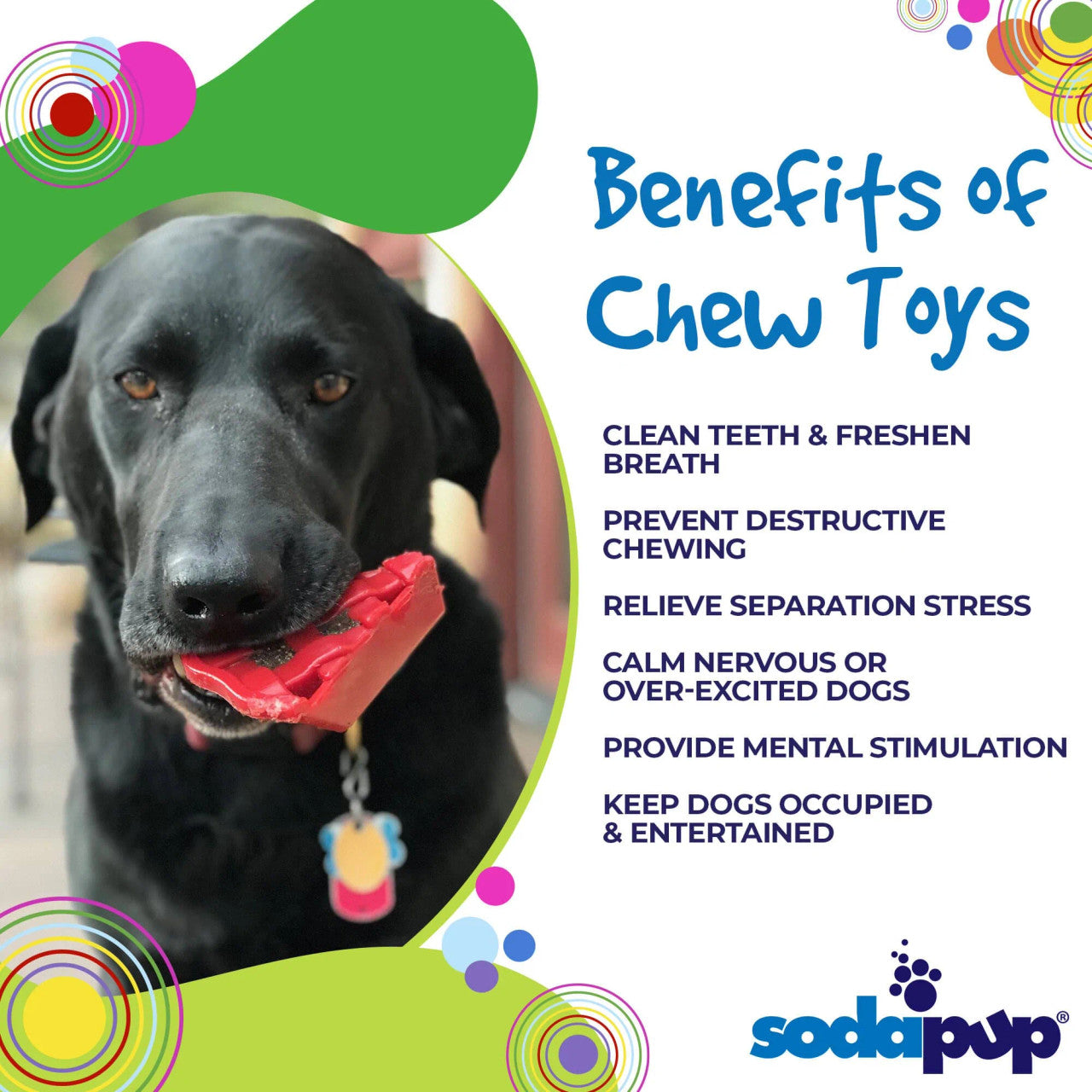 Sodapup Cherry Pie - Ultra Durable Nylon Chew Toy & Food Holder