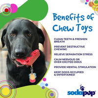 Thumbnail for Sodapup Cherry Pie - Ultra Durable Nylon Chew Toy & Food Holder