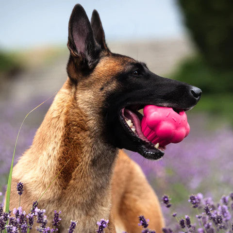 SodaPup Cupcake Treat Dispensing Toy