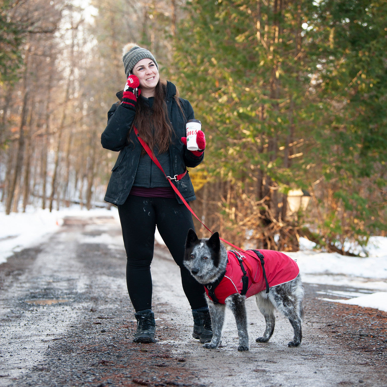 Dog attached to Smoochy Poochy hands free leash.