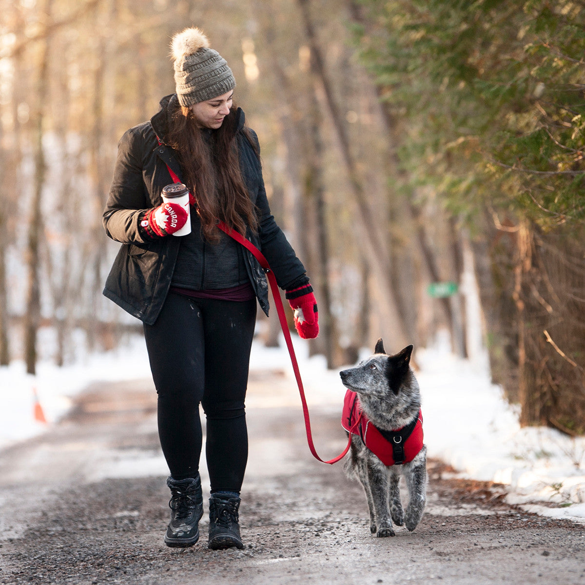 Girl walking dog with Smoochy Poochy hands free leash.