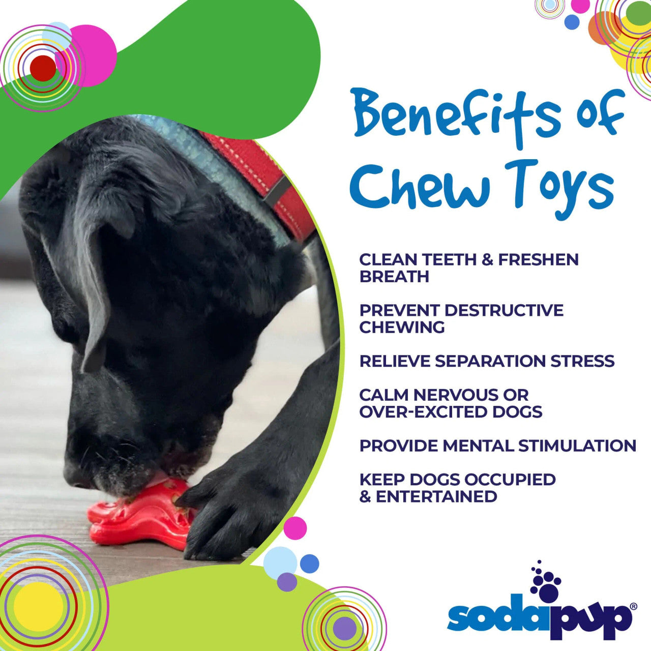 Sodapup durable chew toy starfish for interactive feeding and chewing