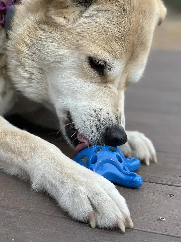 Sodapup durable chew toy starfish for interactive feeding and chewing