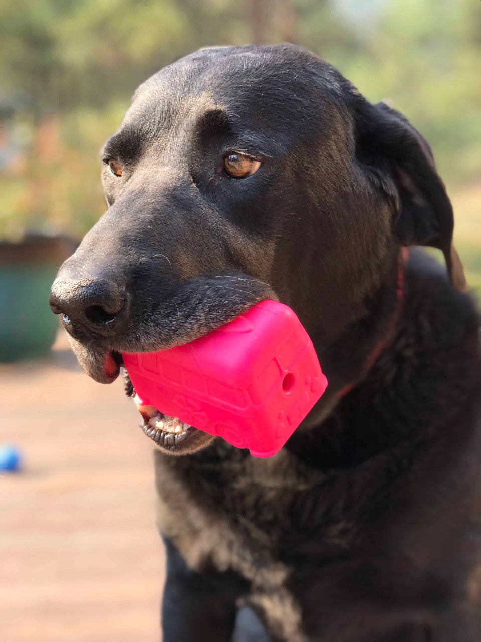 Soda Pup Retro Van Treat Dispensing Toy