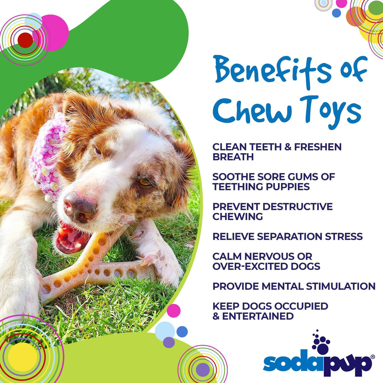 Sodapup Wishbone nylon chew toys for dogs aggressive chewers