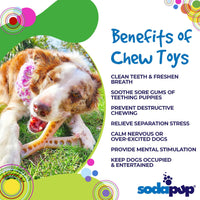 Thumbnail for Sodapup Wishbone nylon chew toys for dogs aggressive chewers