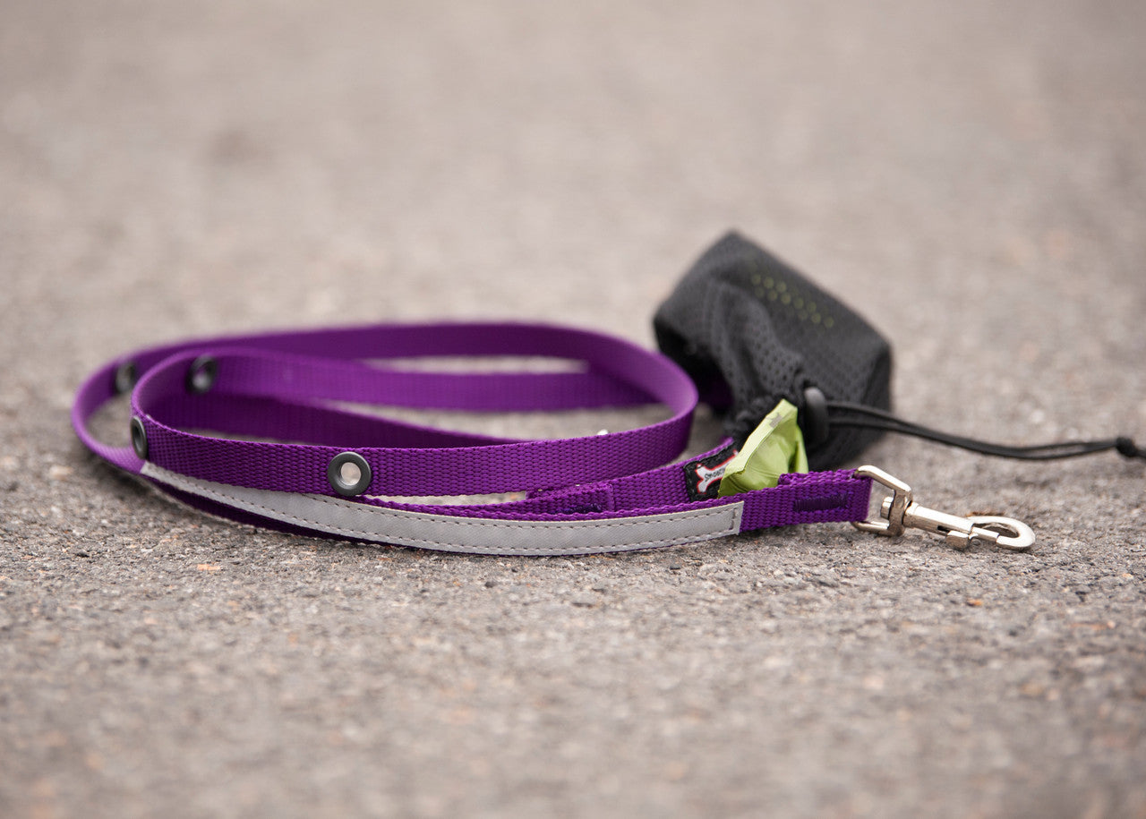 Smoochy Poochy Hands Free Leash double ended clip