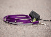 Thumbnail for Smoochy Poochy Hands Free Leash double ended clip