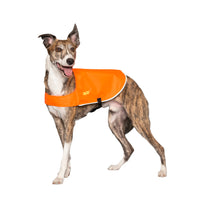 Thumbnail for Chilly Dogs High-Visibility Vest