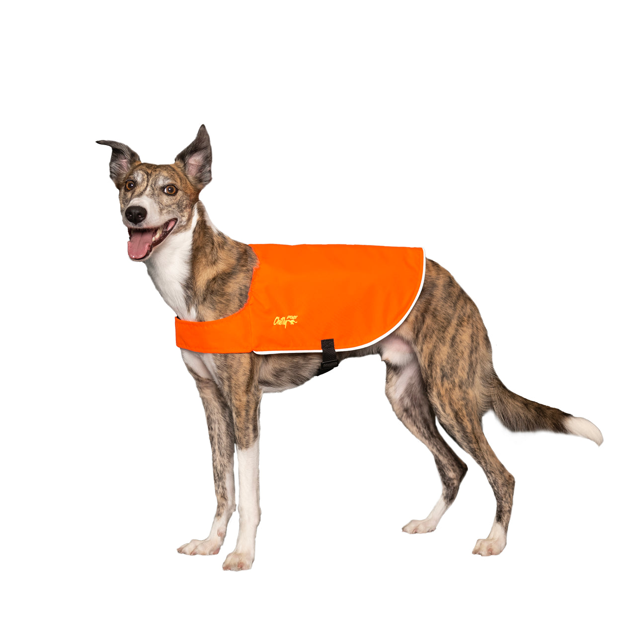 Chilly Dogs High-Visibility Vest
