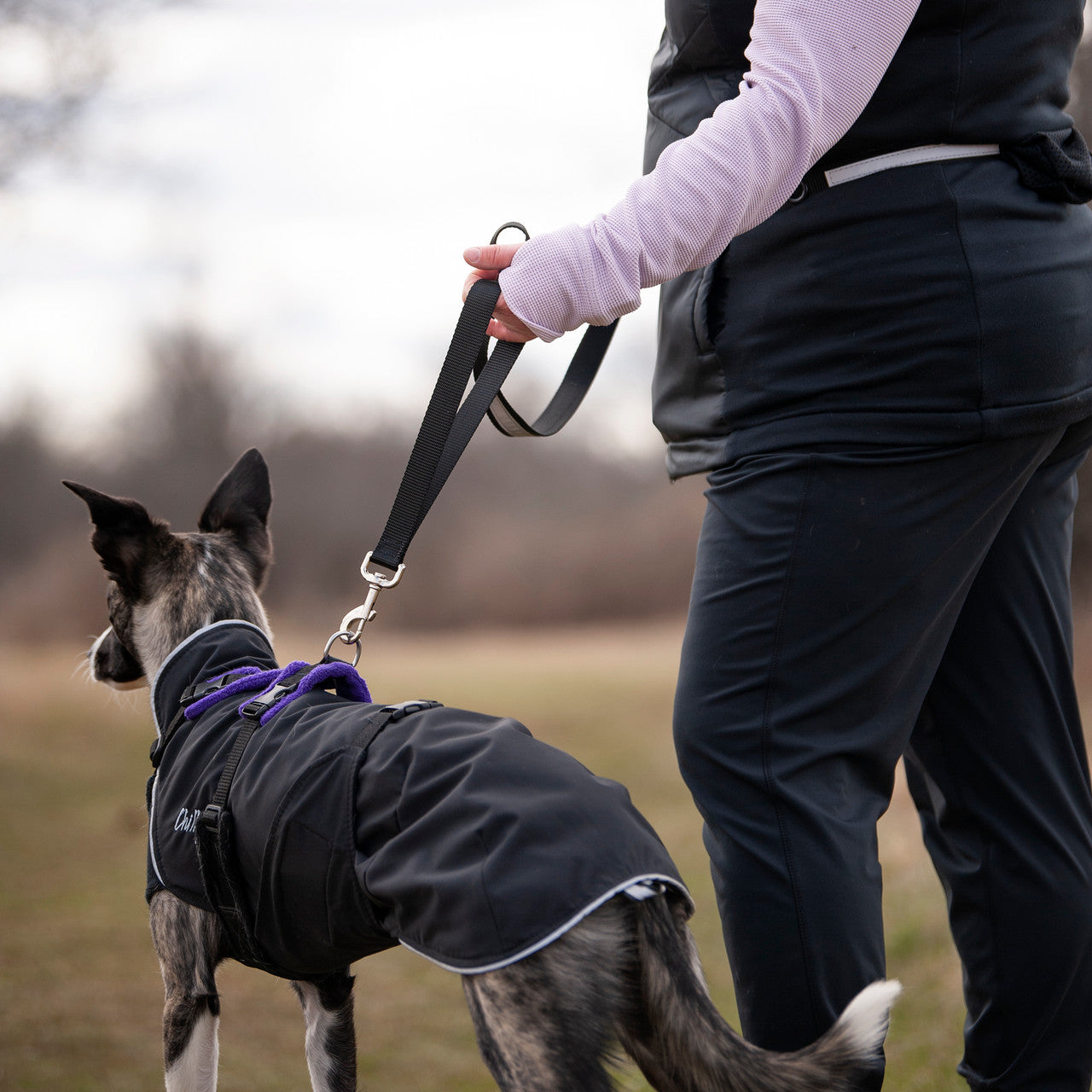 Smoochy Poochy Hands Free Leash double ended clip