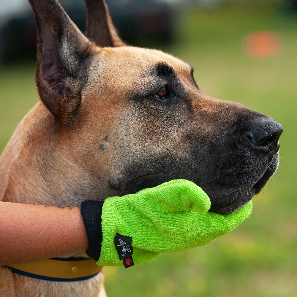 Soaker Mitt