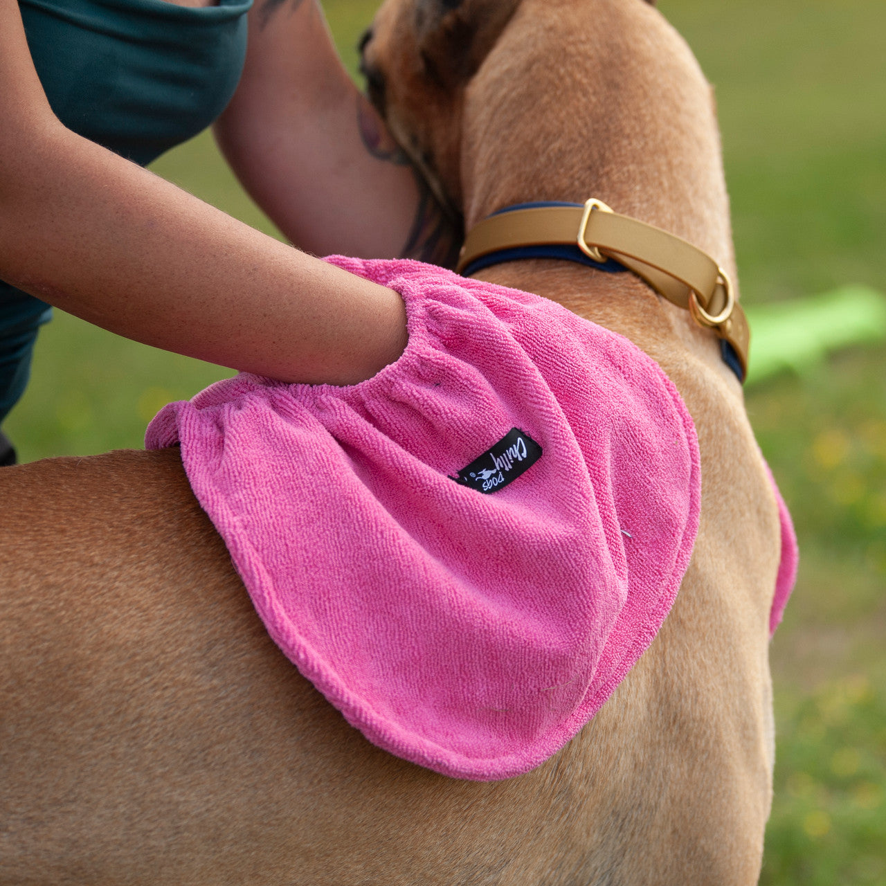 Wet dog being dried with a Soaker Shammy