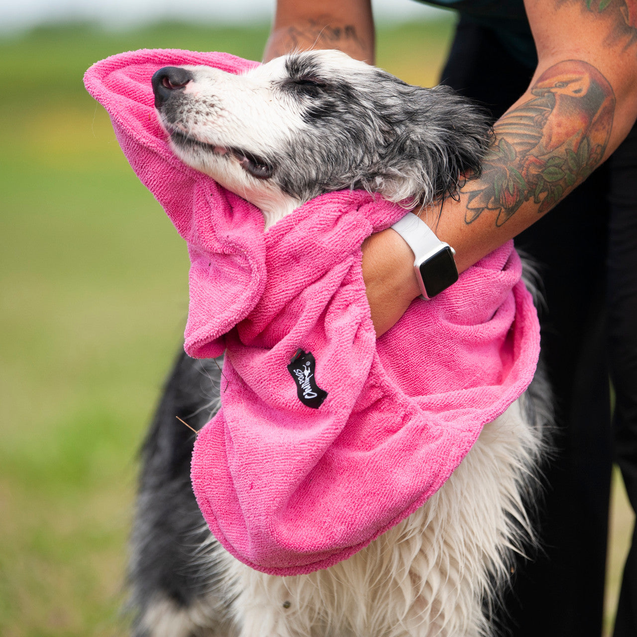 Wet dog being dried with a Soaker Shammy