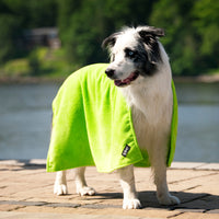 Thumbnail for Border Collie wrapped in the Soaker Bath Towel after a swim