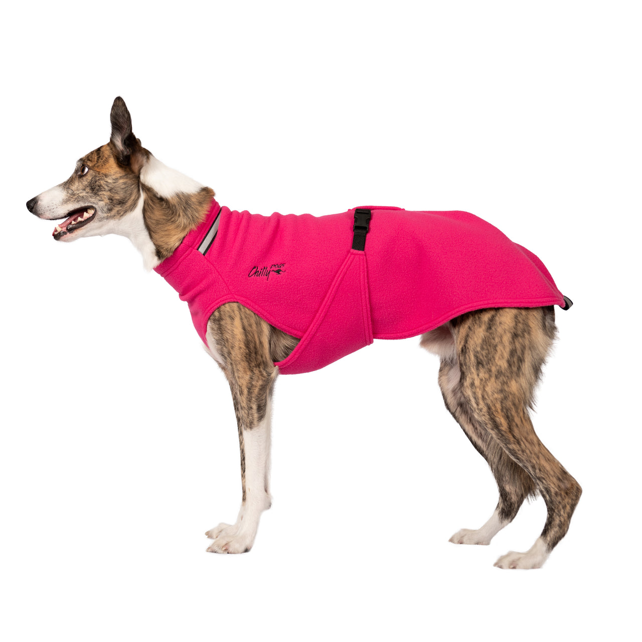 Chilly Dogs Fleece Sweater