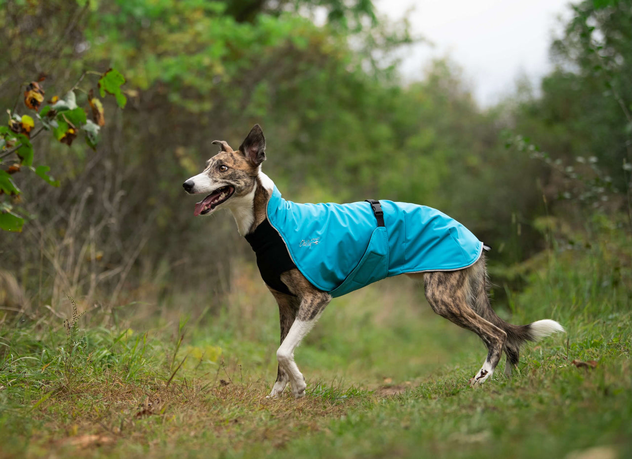 Alpine Blazer - LIGHTLY LOVED
